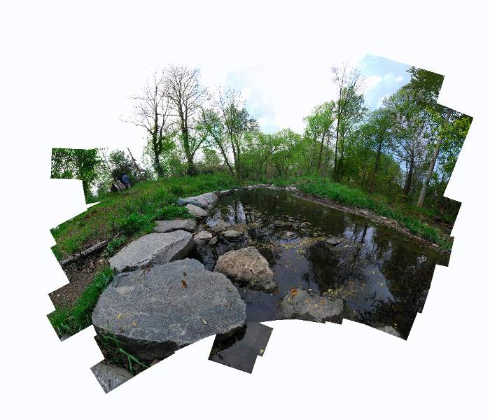 Stoney Run April 25.jpg